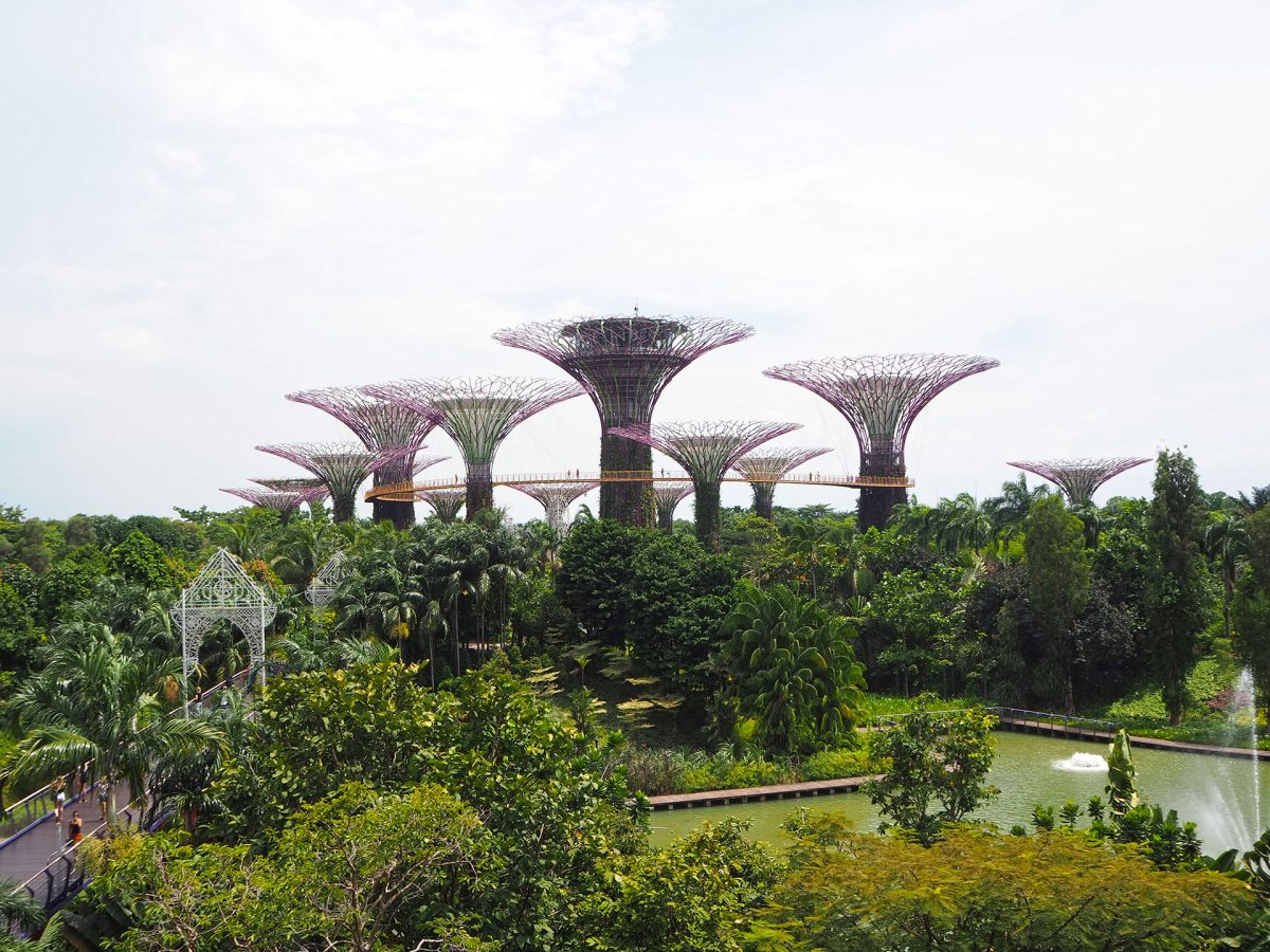 Singapore – long walks and nice gardens