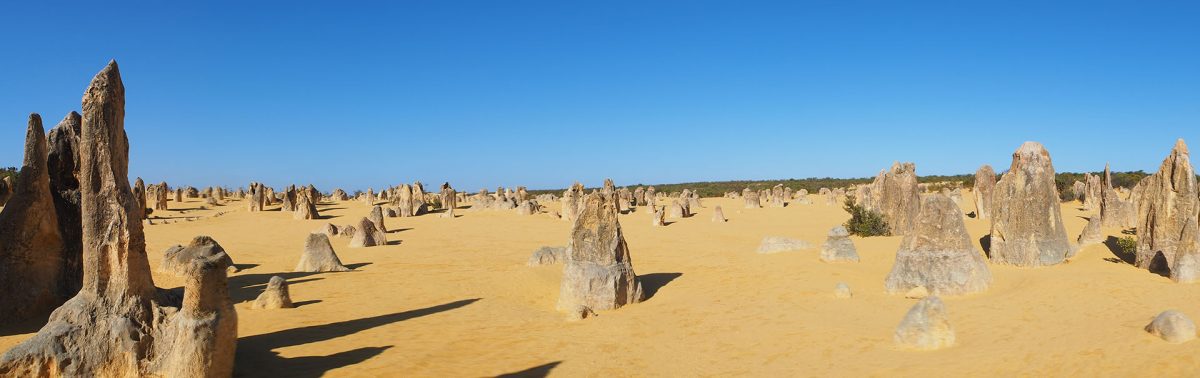 4WD camper and Pinnacles