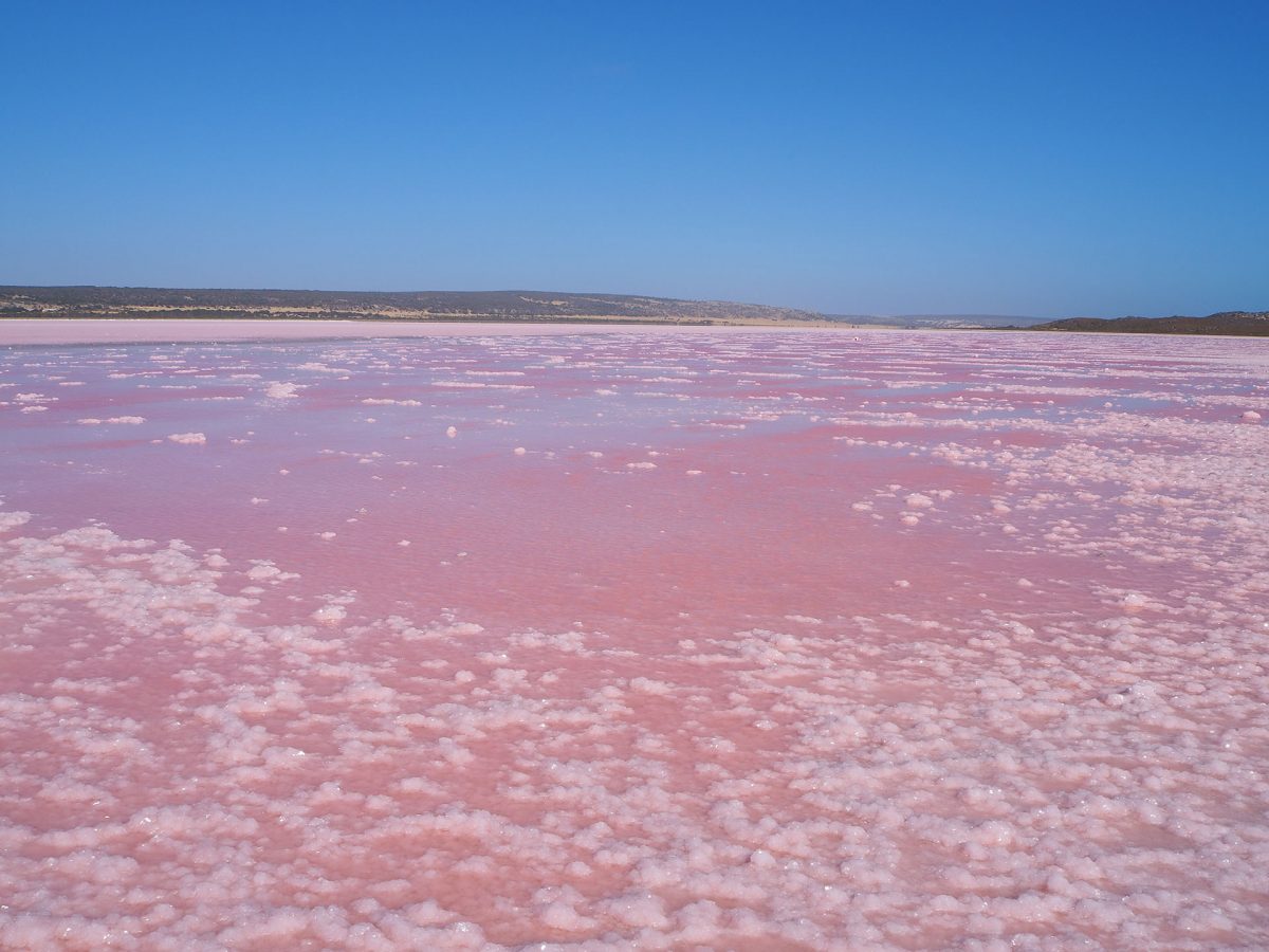 Pink lake and wild coast