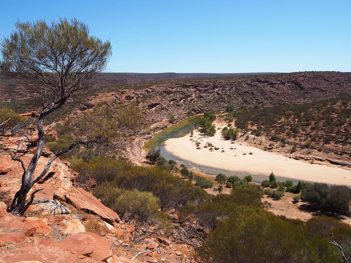 Kalbarri – Gorges and Kangaroos