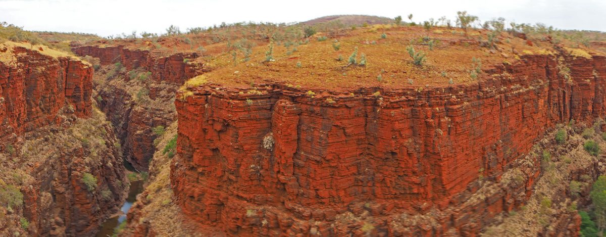 GORGEous spider walks in Karijini
