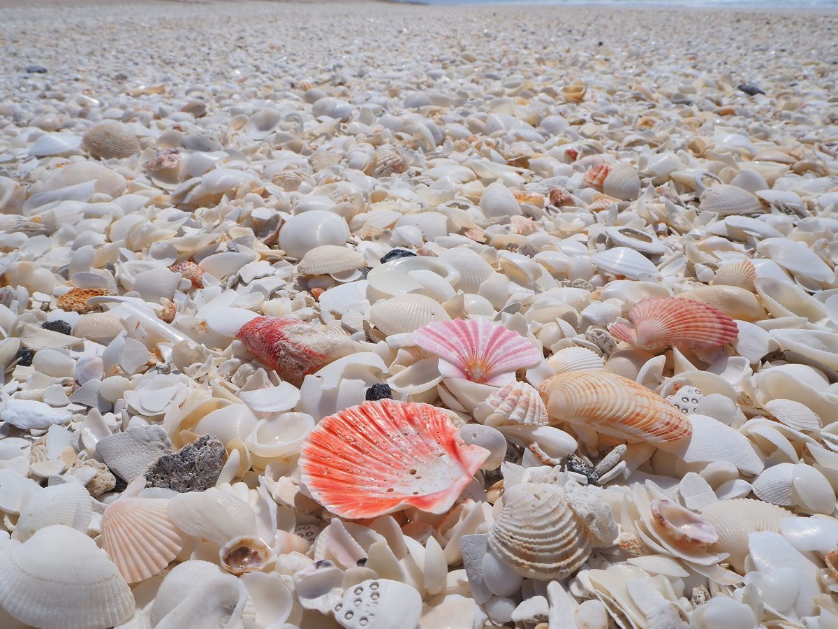 80 Mile Beach