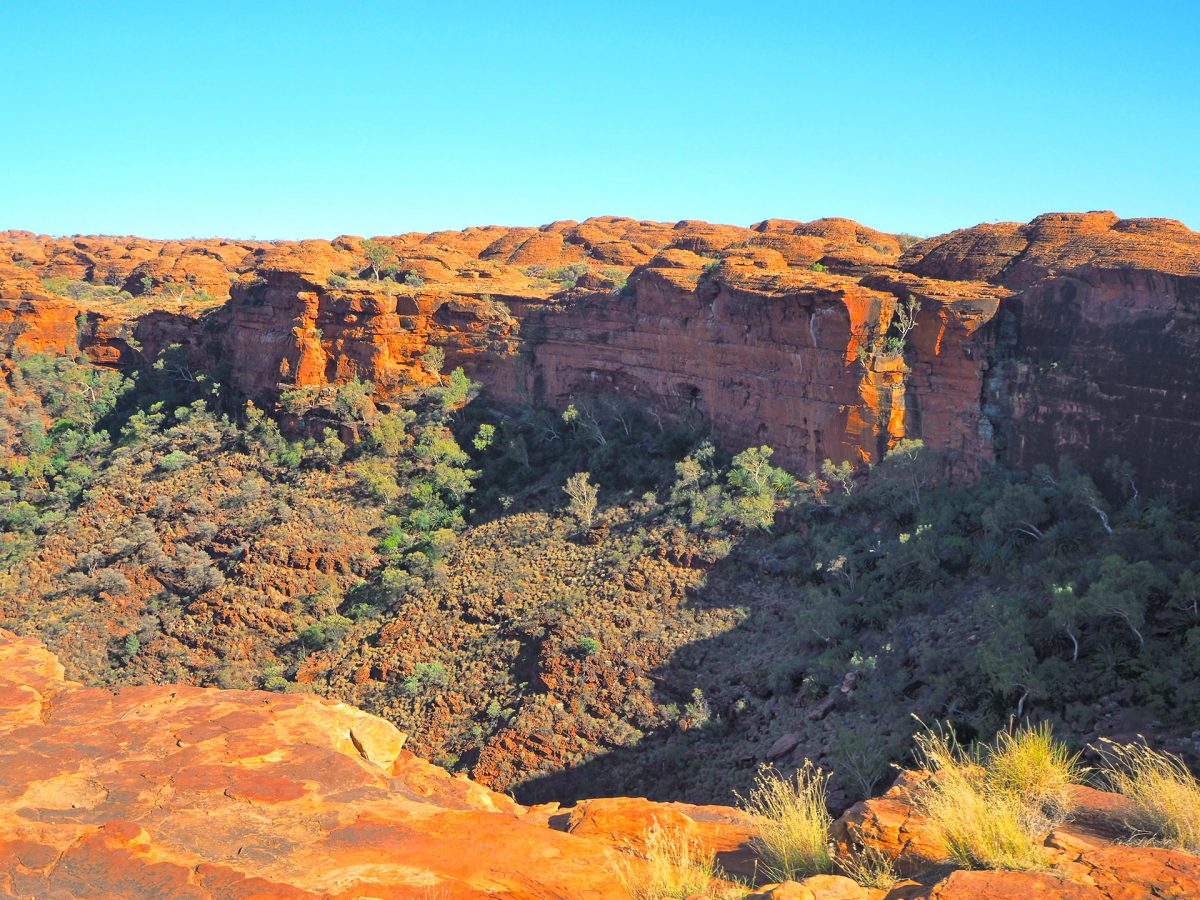 Christmas in Kings Canyon