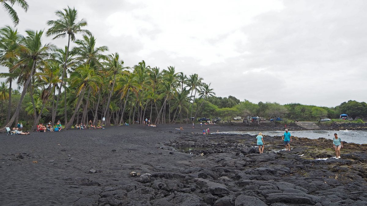 Green Turtles at Black Sand Beach